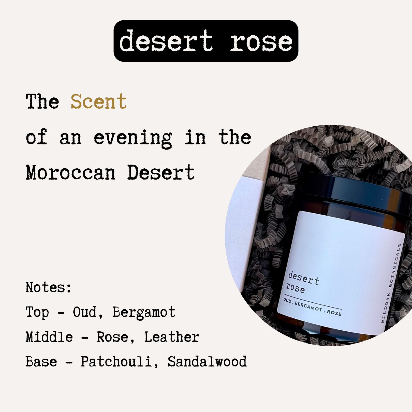 Desert Rose soy candle by COSYPLACE CANDLES with a glass jar, featuring warm Oud, Saffron, and Patchouli fragrance.