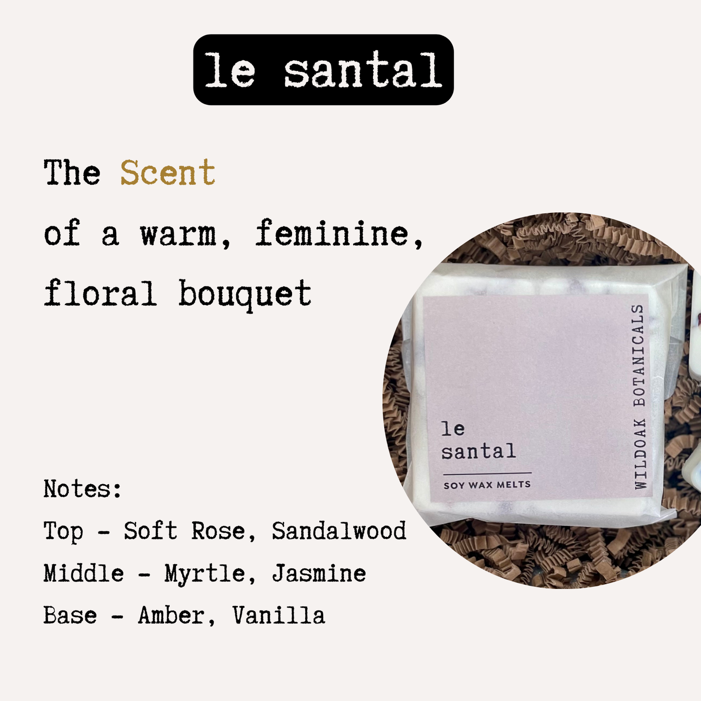 Botanical soy wax melts by COSYPLACE CANDLES in a set of nine, featuring natural floral and botanical designs.