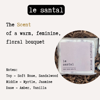 Botanical soy wax melts by COSYPLACE CANDLES in a set of nine, featuring natural floral and botanical designs.