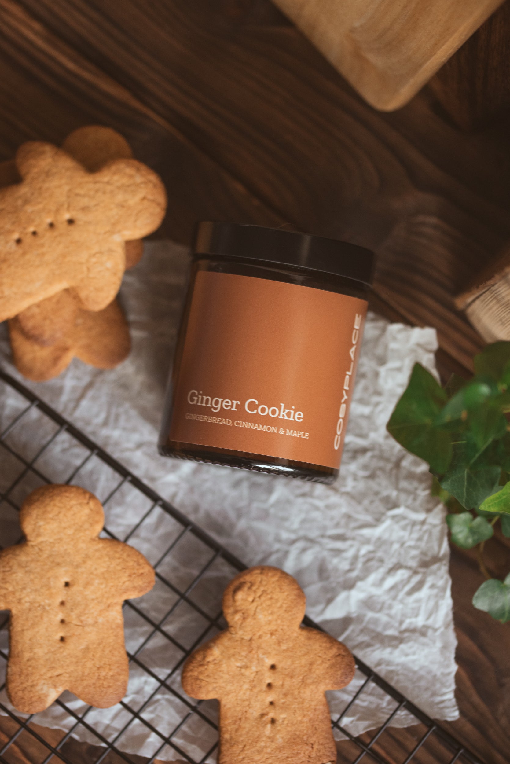 GINGER COOKIE - Gingerbread Phthalate Free Pet Friendlier Scented Soy Candle - COSYPLACE CANDLES