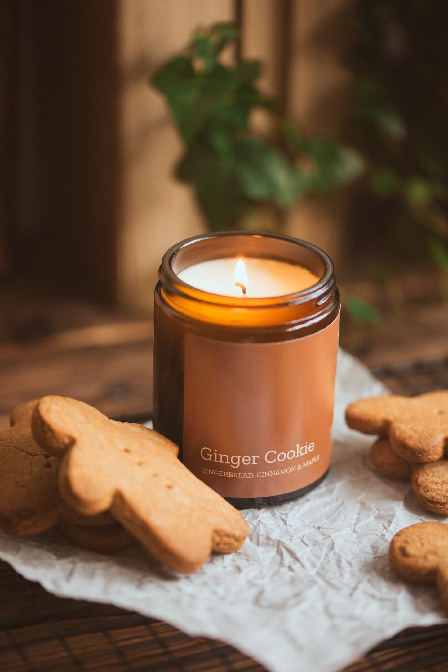 GINGER COOKIE - Gingerbread Phthalate Free Pet Friendlier Scented Soy Candle - COSYPLACE CANDLES
