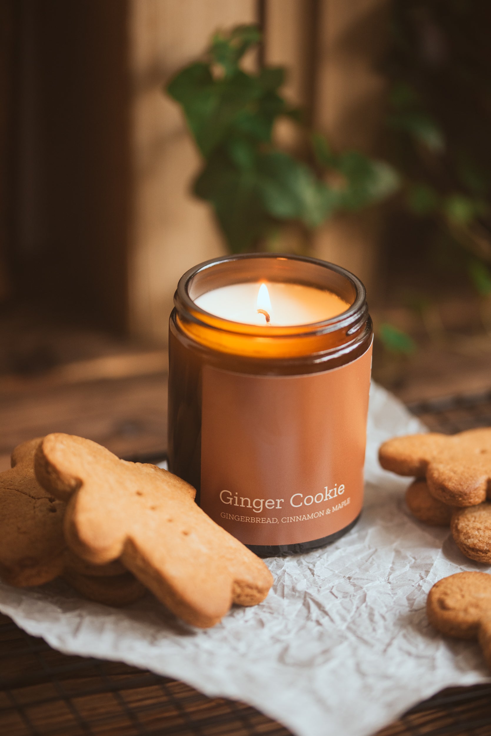 GINGER COOKIE - Gingerbread Phthalate Free Pet Friendlier Scented Soy Candle - COSYPLACE CANDLES