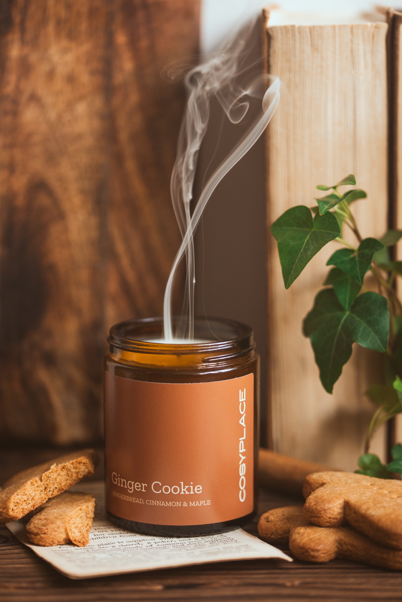 GINGER COOKIE - Gingerbread Phthalate Free Pet Friendlier Scented Soy Candle - COSYPLACE CANDLES