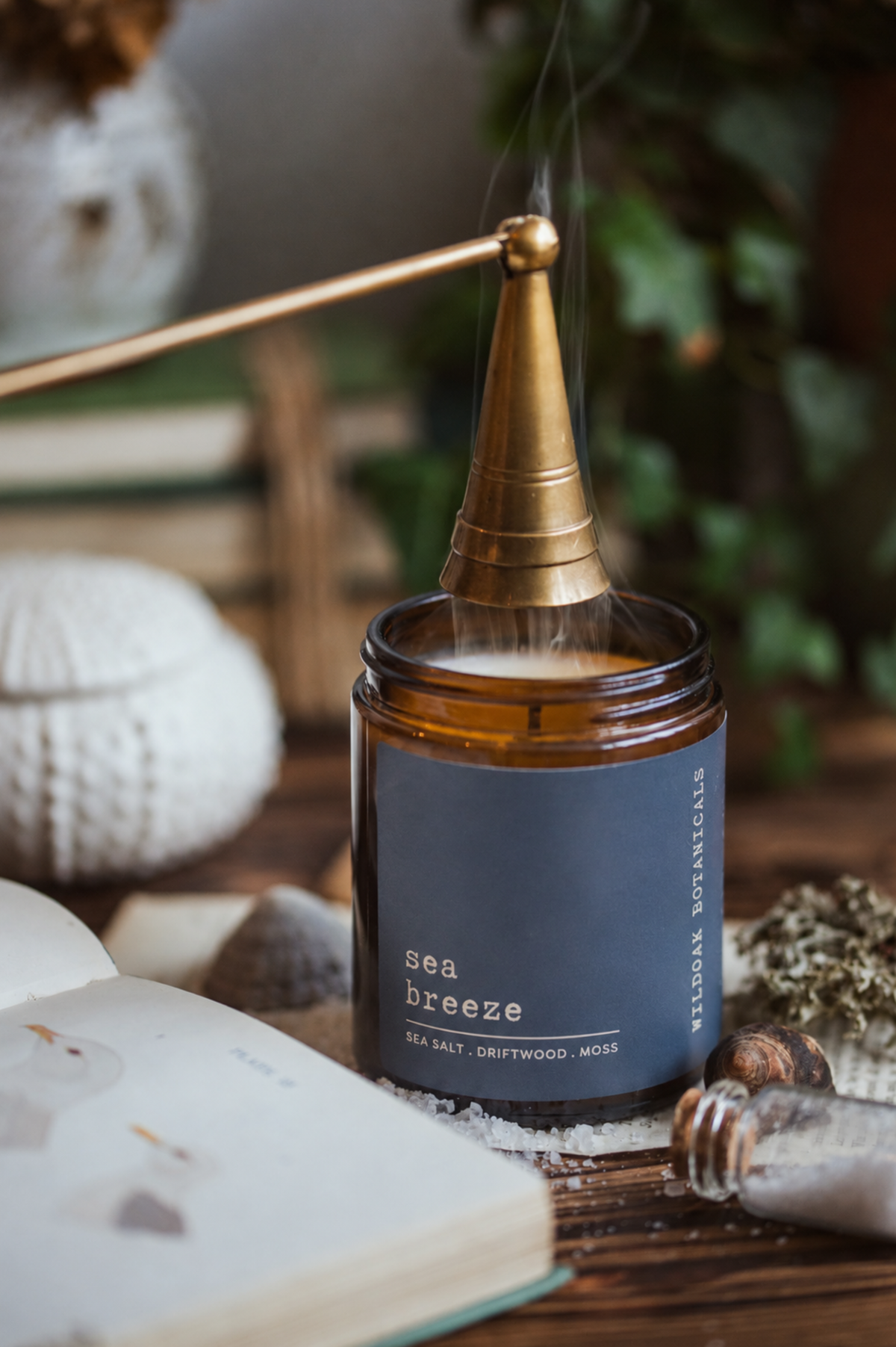 Sea Breeze soy candle by WILDOAK BOTANICALS with a label featuring sea salt and driftwood, in a glass jar.